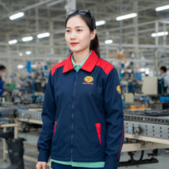 Mẫu áo Dabaco